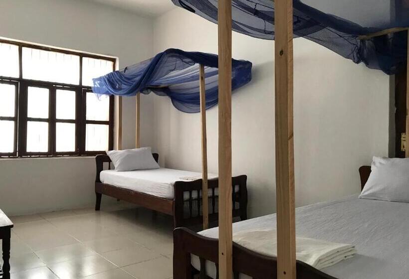 فندق Flamingo Guest House Znz