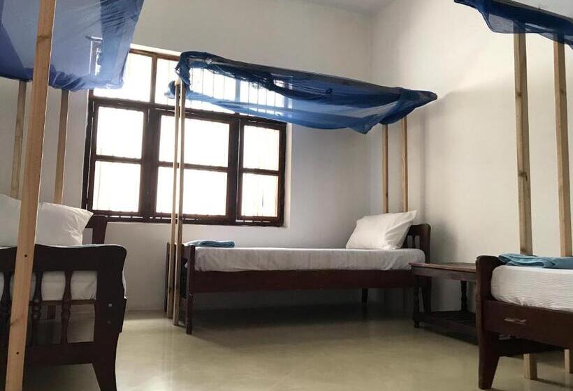 فندق Flamingo Guest House Znz