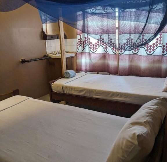 فندق Flamingo Guest House Znz