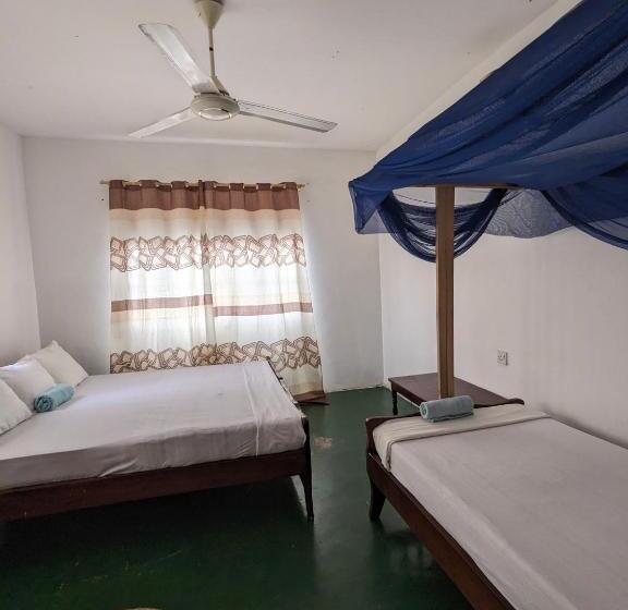 فندق Flamingo Guest House Znz