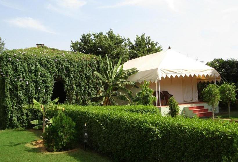 فندق Jungle Retreat Ranthambore