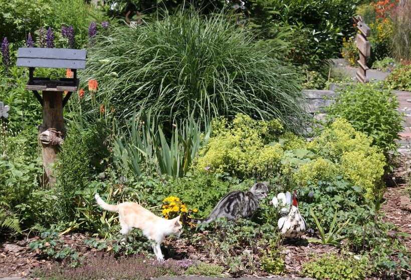 Отель Mein Klein