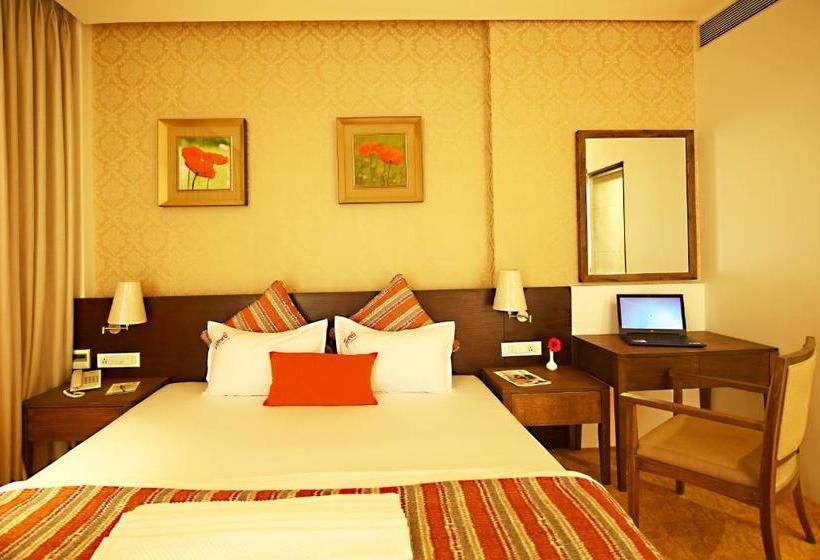 בית מלון כפרי Preeti Executive