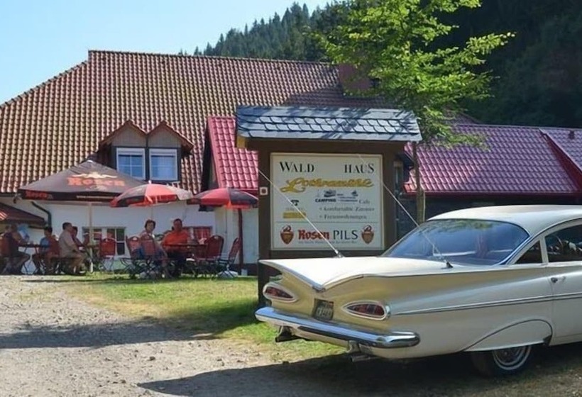 ホテル Sommerfrische Lothramühle