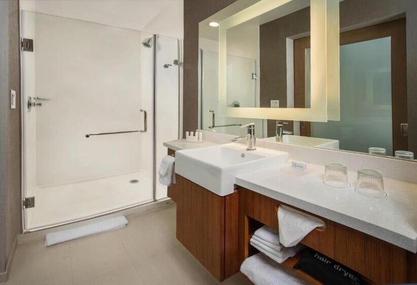 Отель Springhill Suites By Marriott Gainesville Haymarket