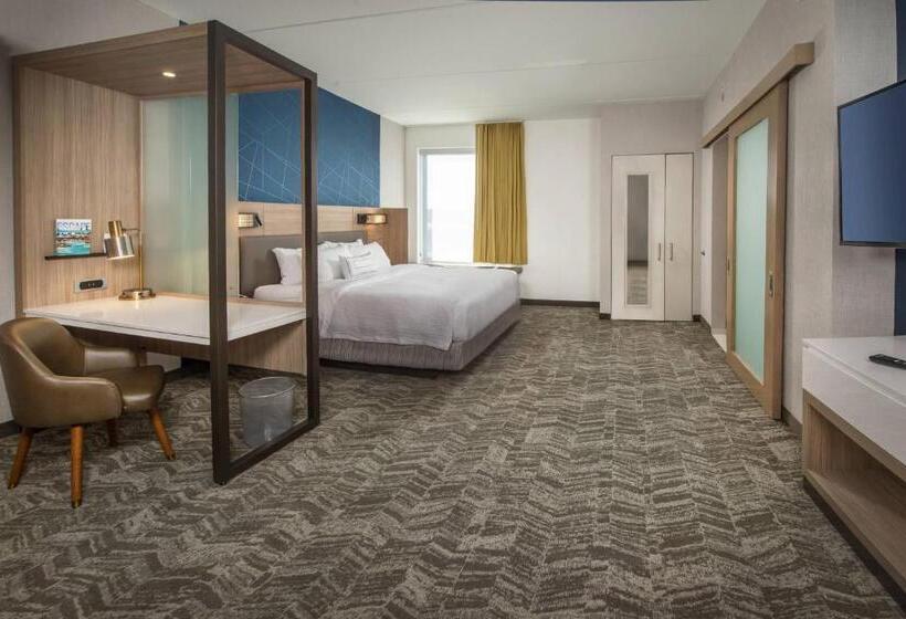 Отель Springhill Suites By Marriott Gainesville Haymarket