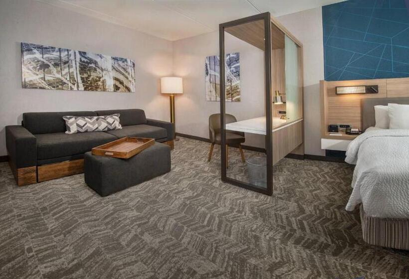 Отель Springhill Suites By Marriott Gainesville Haymarket