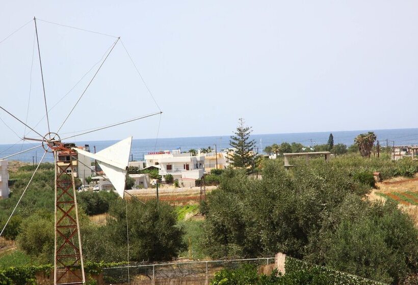 ホテル Triton Garden