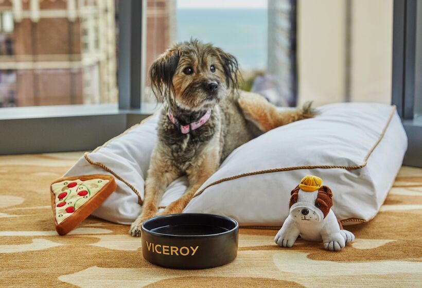 هتل Viceroy Chicago