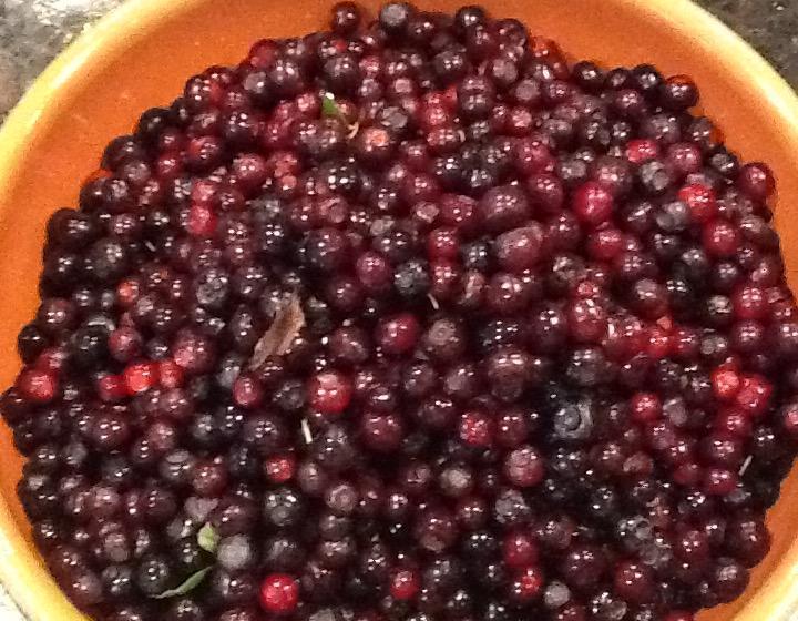 Huckleberry Hill Bed And Breakfast