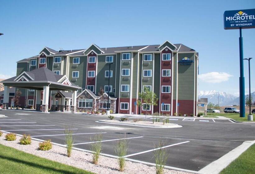 Microtel Inn & Suites By Wyndham Springville