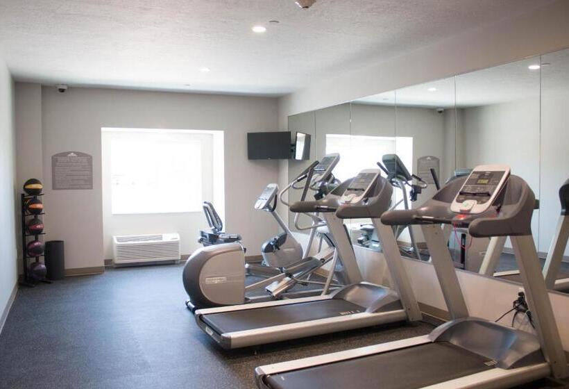 Microtel Inn & Suites By Wyndham Springville