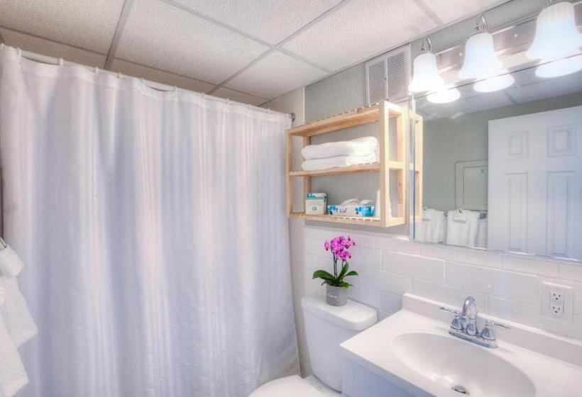 汽车旅馆  Armada By The Sea