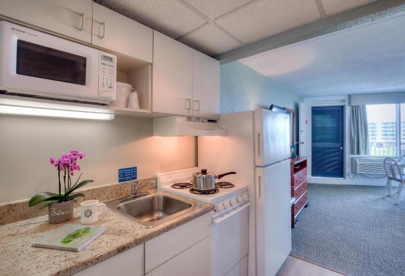 汽车旅馆  Armada By The Sea