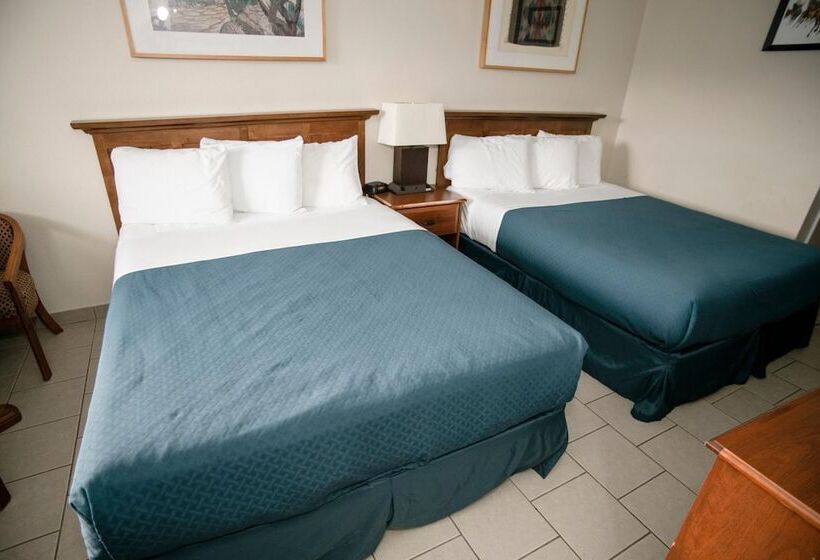 فندق على الطريق Pacific Inn