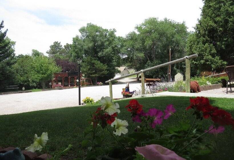 فندق على الطريق The Pines Country Inn