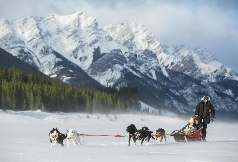 リゾートホテル Mount Kidd Manor At Kananaskis
