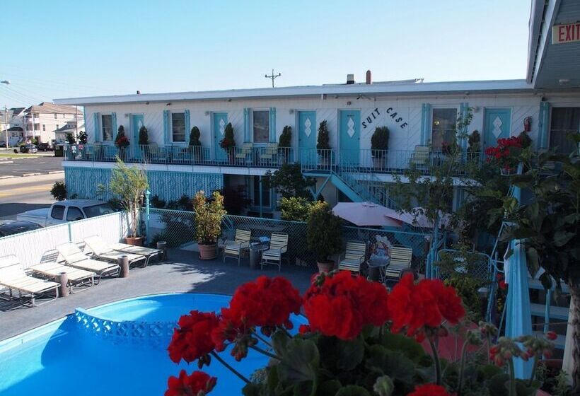 Suitcase Motel & Travel