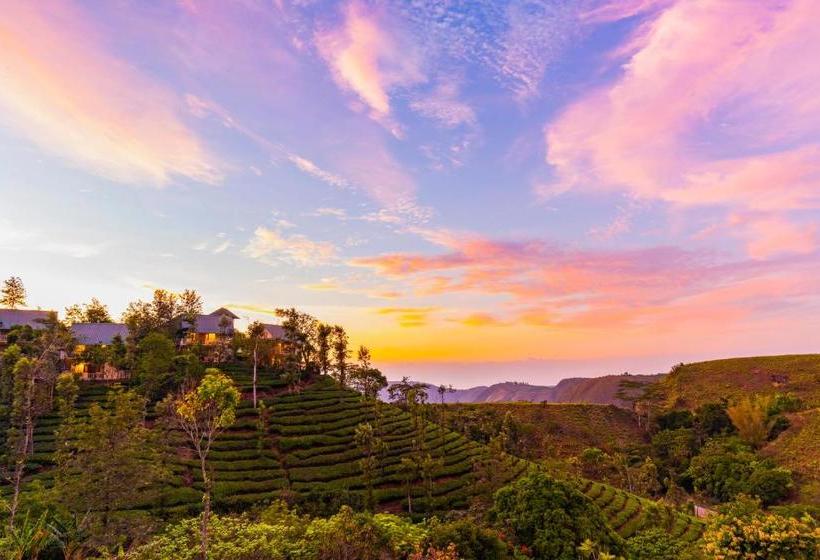 Winter Vale Green Stay Resorts