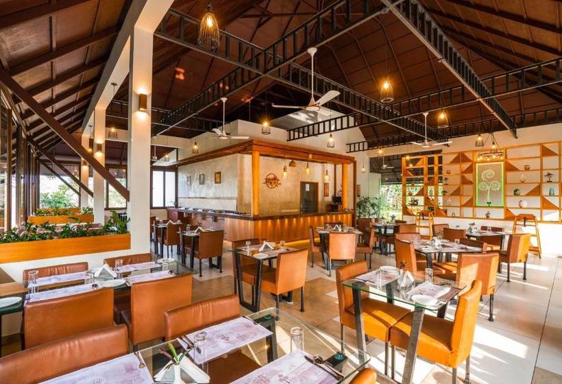 Winter Vale Green Stay Resorts