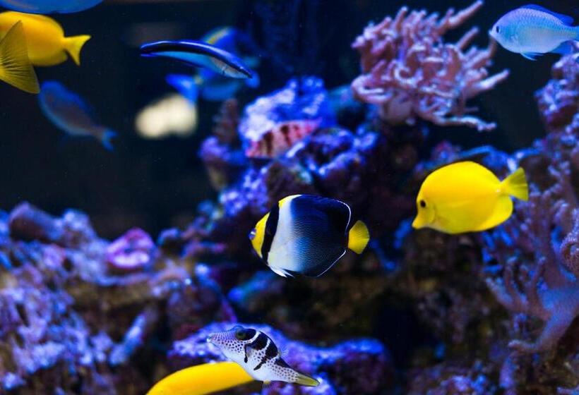 펜션 Vaughans Anchor Inn