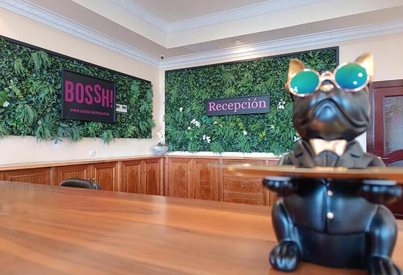 Отель Bossh Alicia