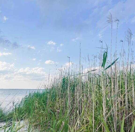 Bed and Breakfast Guesthouse On Girod