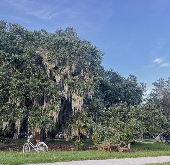 Bed and Breakfast Guesthouse On Girod