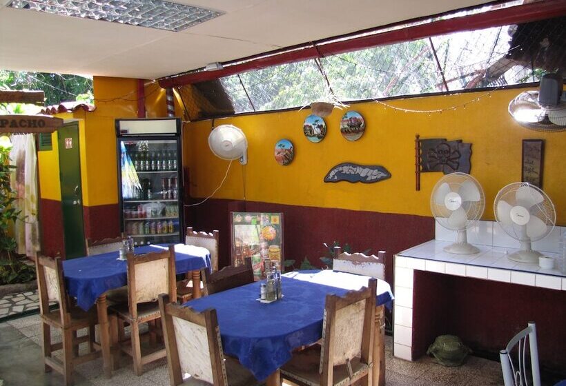 Blueroom & Hostal Saiz