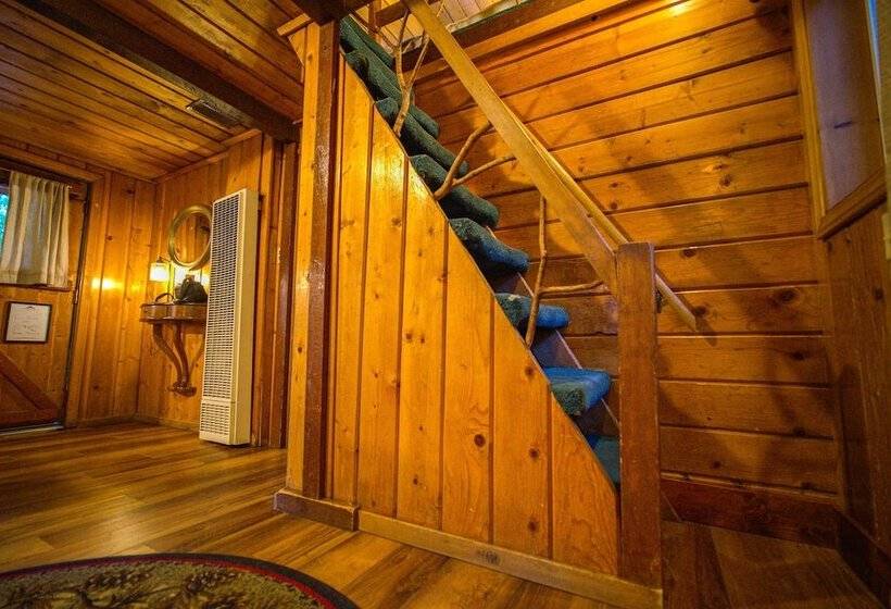 בית מלון כפרי Arrowhead Pine Rose Cabins