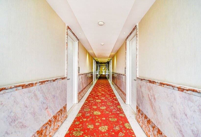 Zip By Spree Hotels Orient