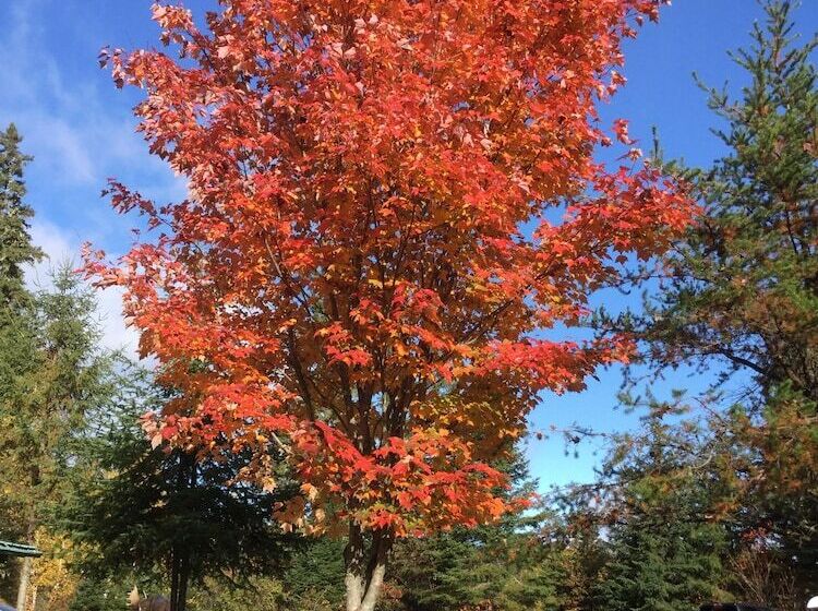 리조트 Domaine Le Bostonnais