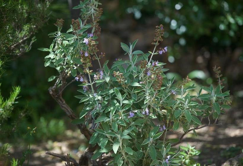 B&b Costa Lupara   Villa Murchio