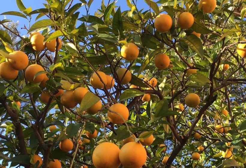 B&b Costa Lupara   Villa Murchio