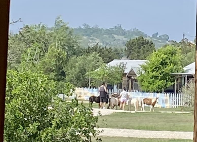 צימר City On A Hill At Spring Creek