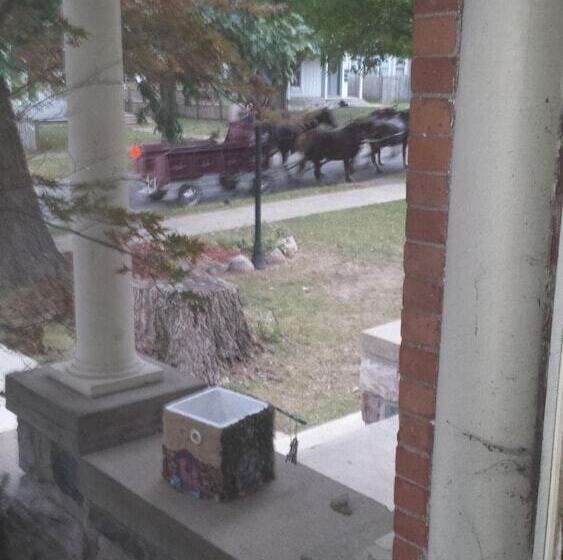 Bed and Breakfast Rose Corner Inn