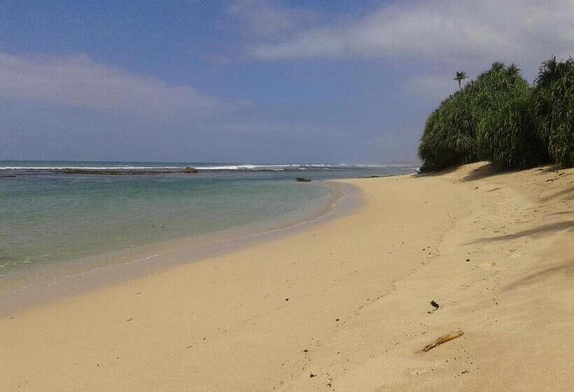 ベッドアンドブレックファースト Sunset Surfing Beach Resort