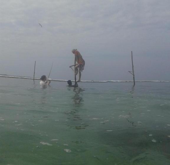 ベッドアンドブレックファースト Sunset Surfing Beach Resort