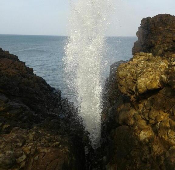 ベッドアンドブレックファースト Sunset Surfing Beach Resort