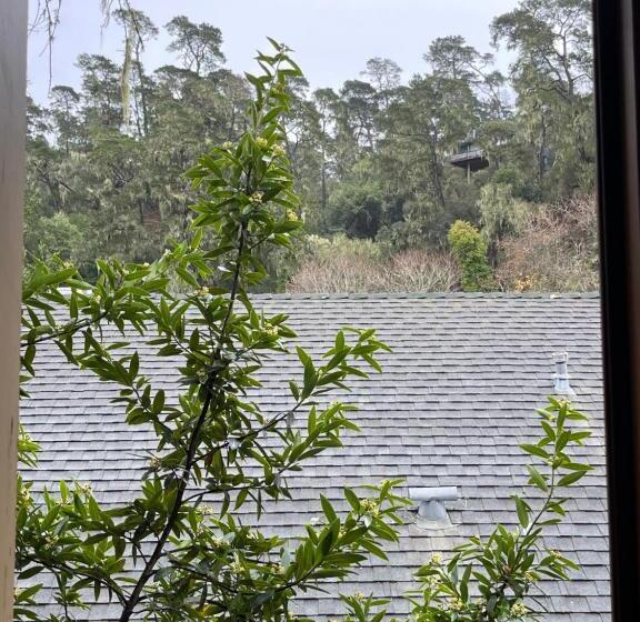 住宿加早餐  The Squibb Houses