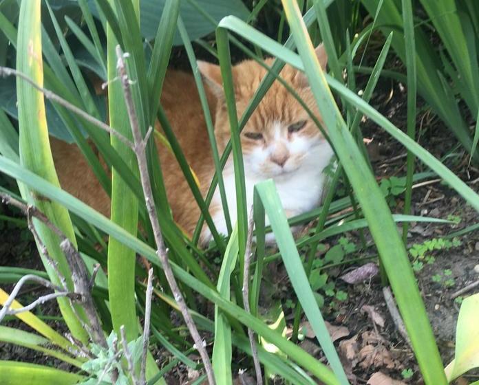 Chesley Road Bed And Breakfast