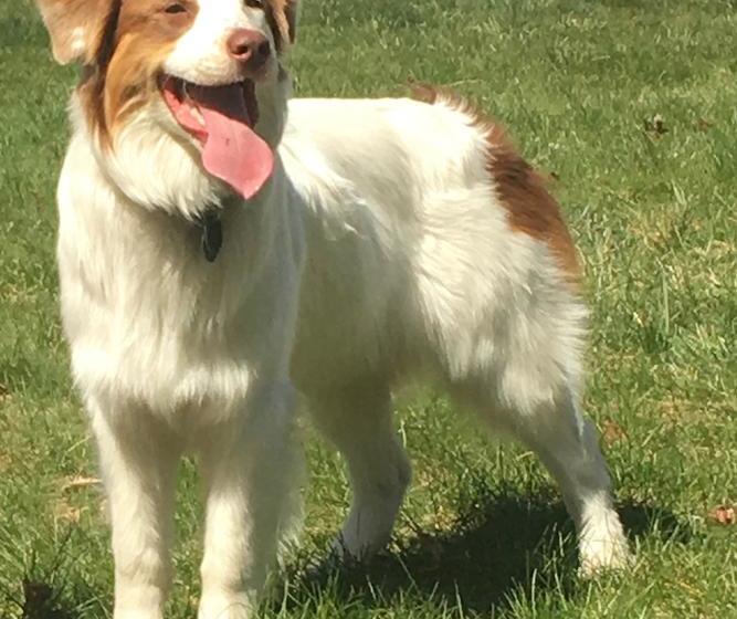 Chesley Road Bed And Breakfast