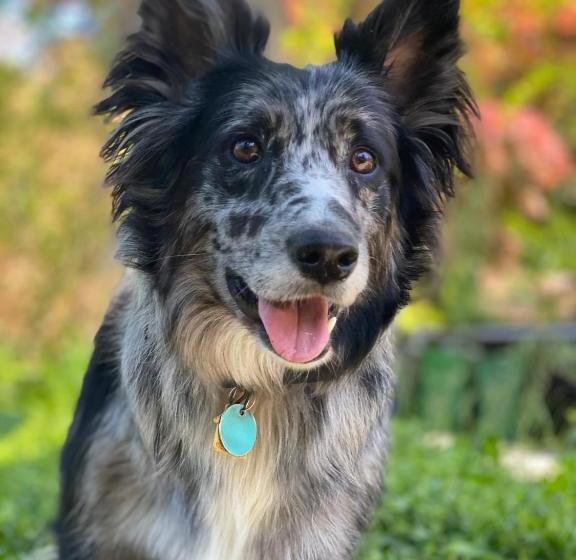 Chesley Road Bed And Breakfast