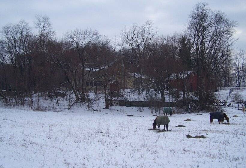 Fallen Tree Farm Bed And Breakfast