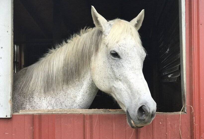 Fallen Tree Farm Bed And Breakfast