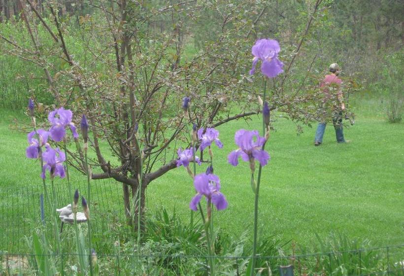 Fox Run Bed & Breakfast