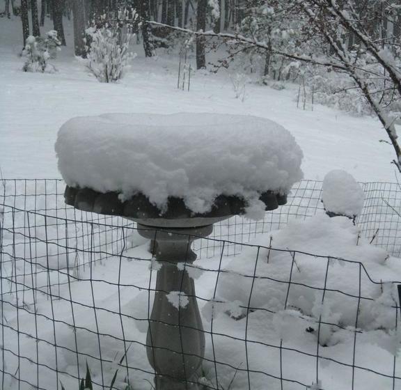 Fox Run Bed & Breakfast