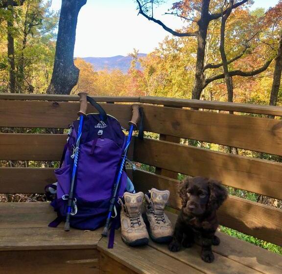 فندق Barefoot Hills