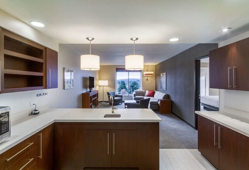 فندق Hyatt Place Blacksburg/university