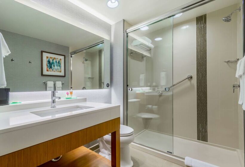 فندق Hyatt Place Blacksburg/university